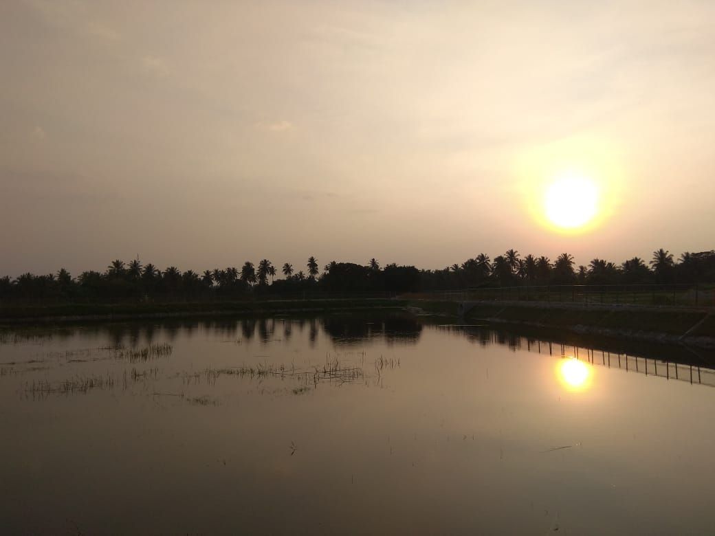 Abbankuppe Lake Rejuvenation